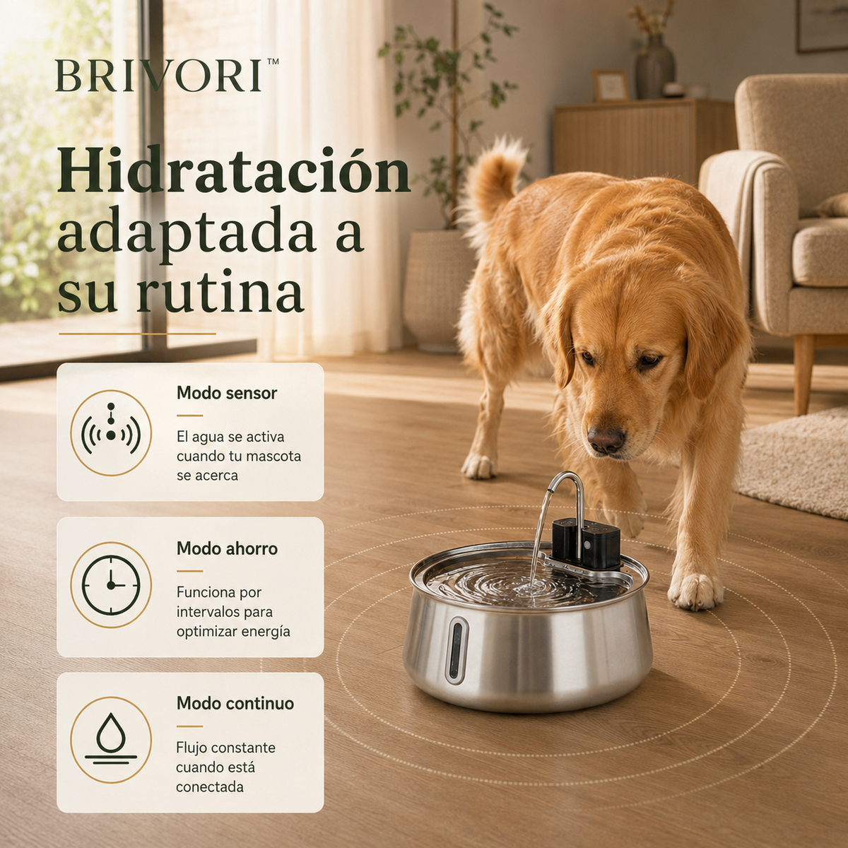 Brivori™ - Fuente de Agua de Acero Inoxidable para Perros